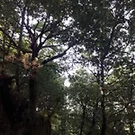 펜션 Quinta Da Casa Matilde - Nature House