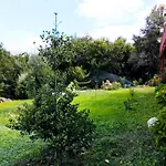 Quinta Da Casa Matilde - Nature House