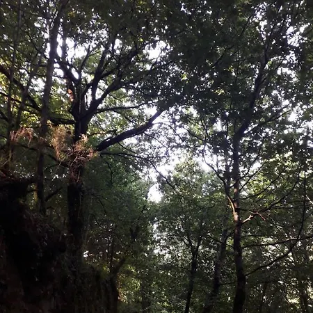 펜션 Quinta Da Casa Matilde - Nature House