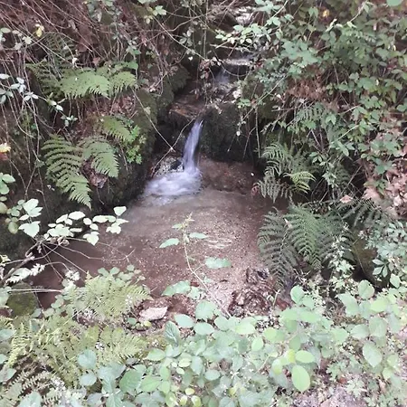 Quinta Da Casa Matilde - Nature House *