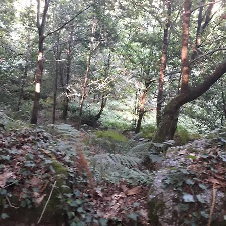 Quinta Da Casa Matilde - Nature House בית נופש *