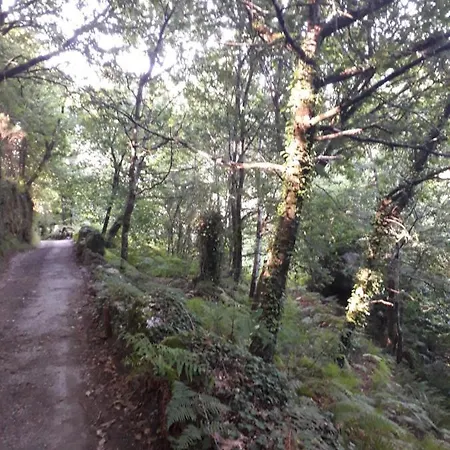 Сasa de vacaciones Quinta Da Casa Matilde - Nature House