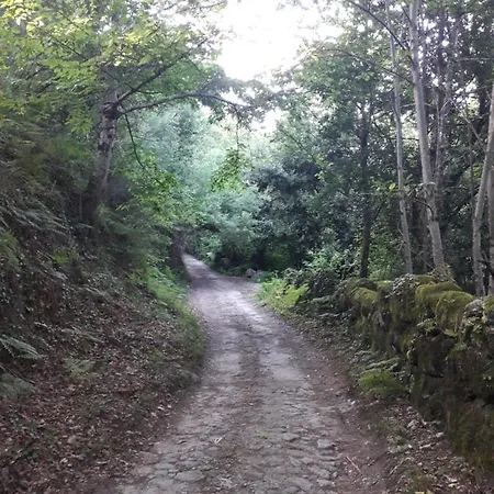 Quinta Da Casa Matilde - Nature House