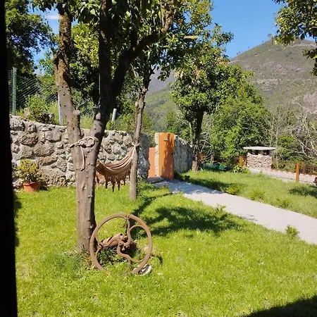 Quinta Da Casa Matilde - Nature House