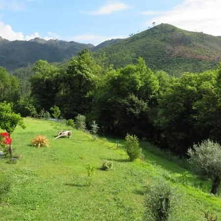 Quinta Da Casa Matilde - Nature House בית נופש