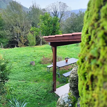 Quinta Da Casa Matilde - Nature House בית נופש *