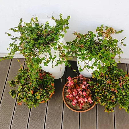 Quinta Da Casa Matilde - Nature House