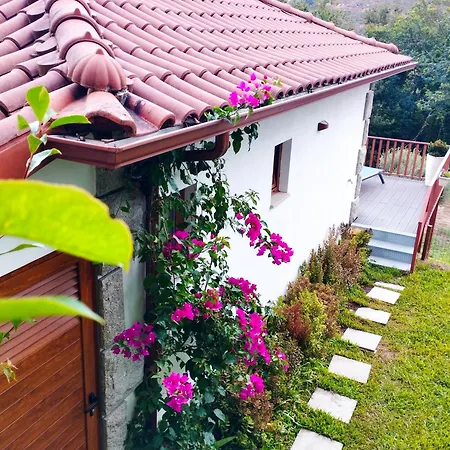 Quinta Da Casa Matilde - Nature House Ferienhaus