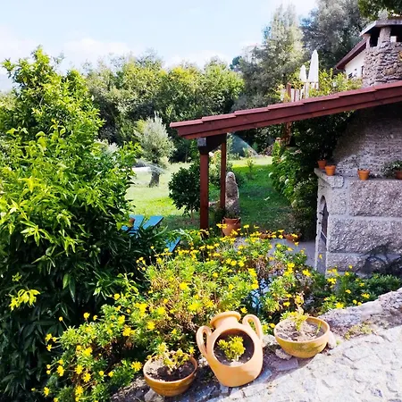 펜션 Quinta Da Casa Matilde - Nature House 제어스