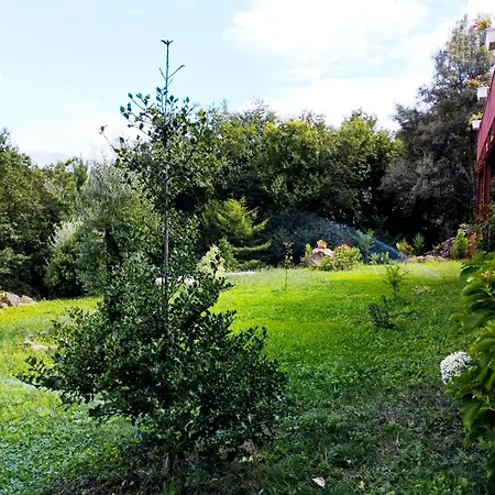 Quinta Da Casa Matilde - Nature House