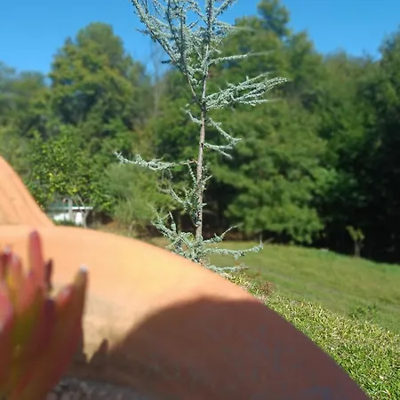 Quinta Da Casa Matilde - Nature House