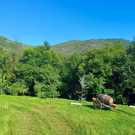 Hébergement de vacances Quinta Da Casa Matilde - Nature House Gerês