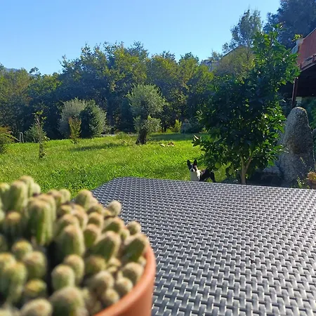 Quinta Da Casa Matilde - Nature House *