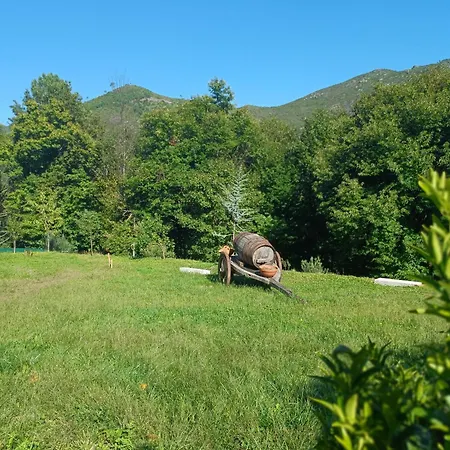 Quinta Da Casa Matilde - Nature House 제어스