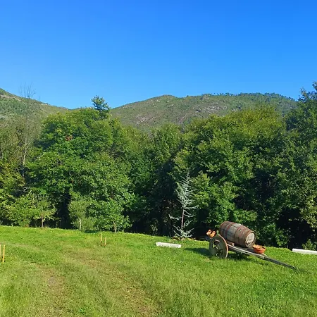 Quinta Da Casa Matilde - Nature House Hébergement de vacances