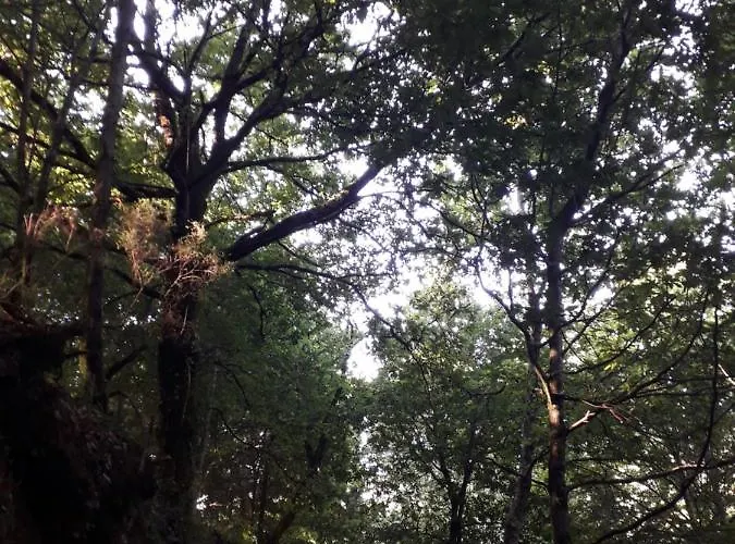 Feriehus Quinta Da Casa Matilde - Nature House