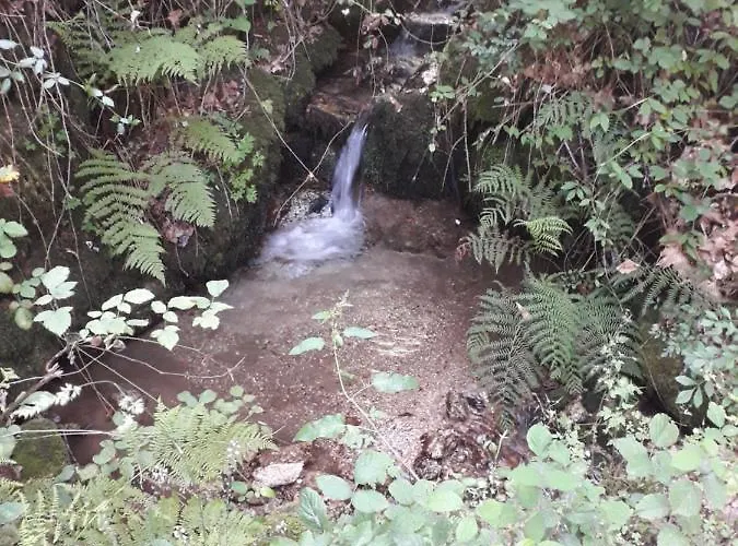 Quinta Da Casa Matilde - Nature House *