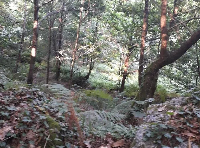 Quinta Da Casa Matilde - Nature House Ferienhaus *