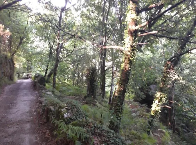 Prázdninový dům Quinta Da Casa Matilde - Nature House