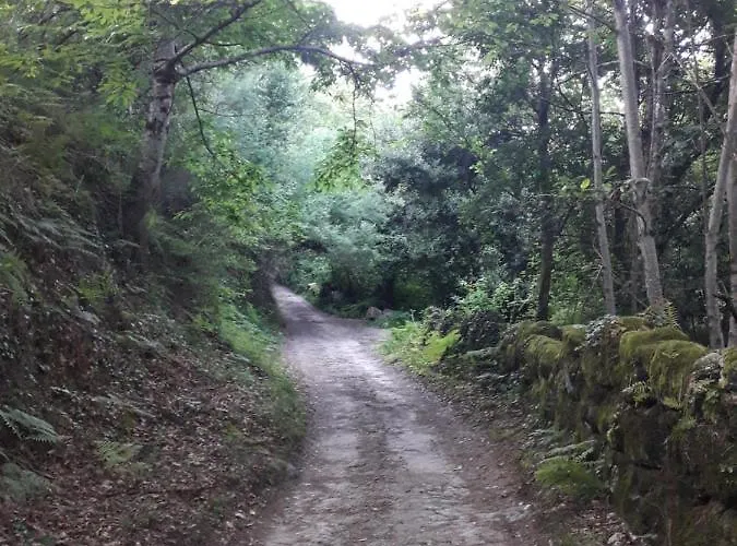 Quinta Da Casa Matilde - Nature House