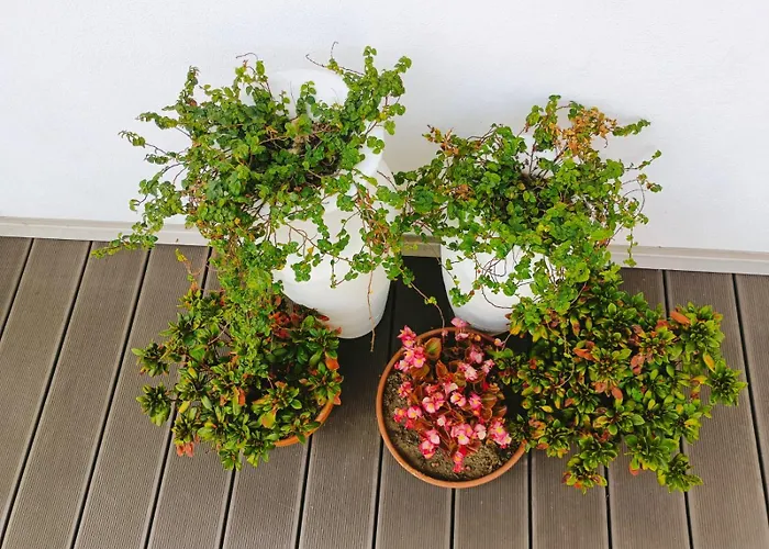 Quinta Da Casa Matilde - Nature House