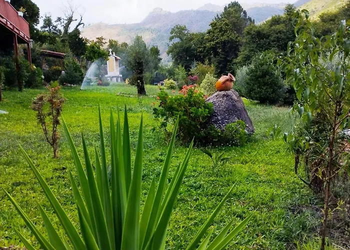 Hébergement de vacances Quinta Da Casa Matilde - Nature House *