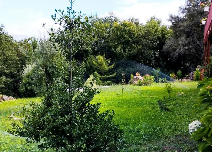 Quinta Da Casa Matilde - Nature House