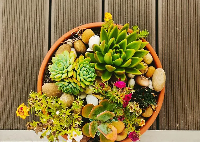 Hébergement de vacances Quinta Da Casa Matilde - Nature House Gerês