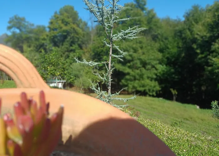 Quinta Da Casa Matilde - Nature House