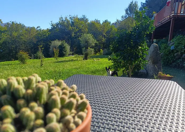 Quinta Da Casa Matilde - Nature House *