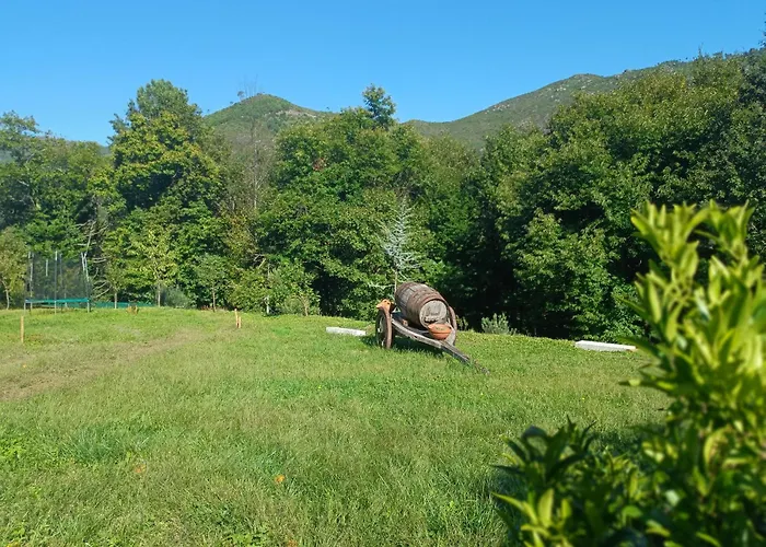 Quinta Da Casa Matilde - Nature House Gerês