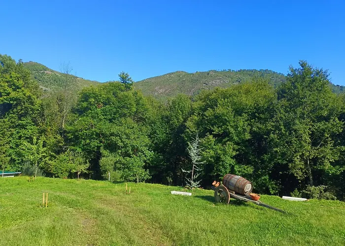 Quinta Da Casa Matilde - Nature House Hébergement de vacances