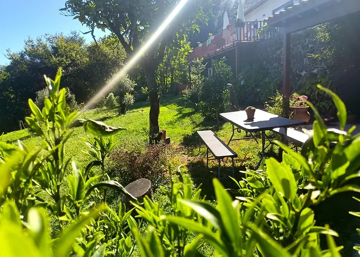 Quinta Da Casa Matilde - Nature House Hébergement de vacances *